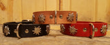 SALE! 1" Small Edelweiss Swiss Dog Collar