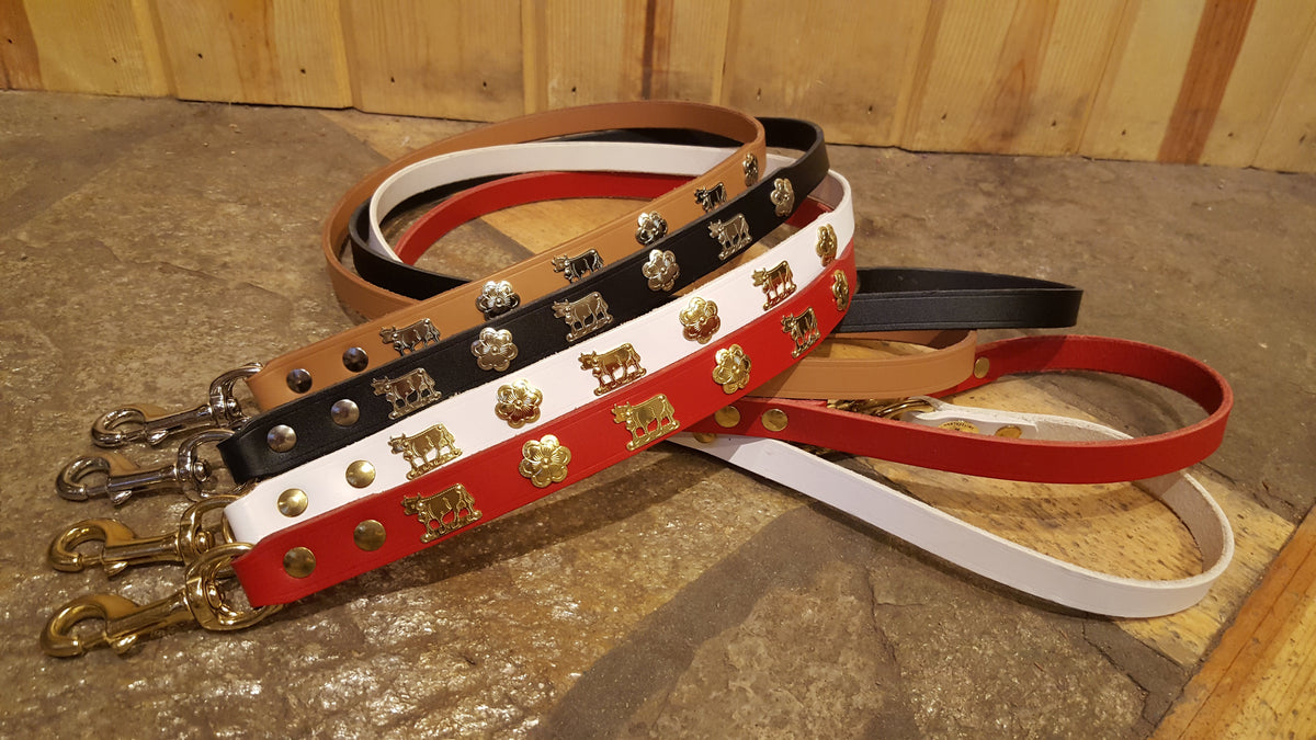 Heavy duty best sale leashes for dogs