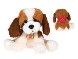 Cute 'n Cuddly St. Bernards