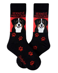 Bernese "POP Art" Socks