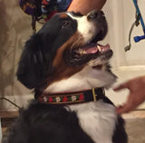 Heidi Large Austrian Dog Collar